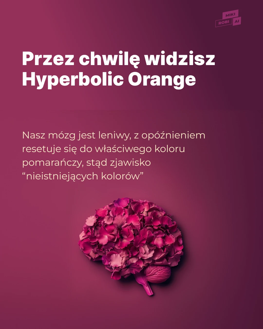 Jak działa Hyperbolic Orange