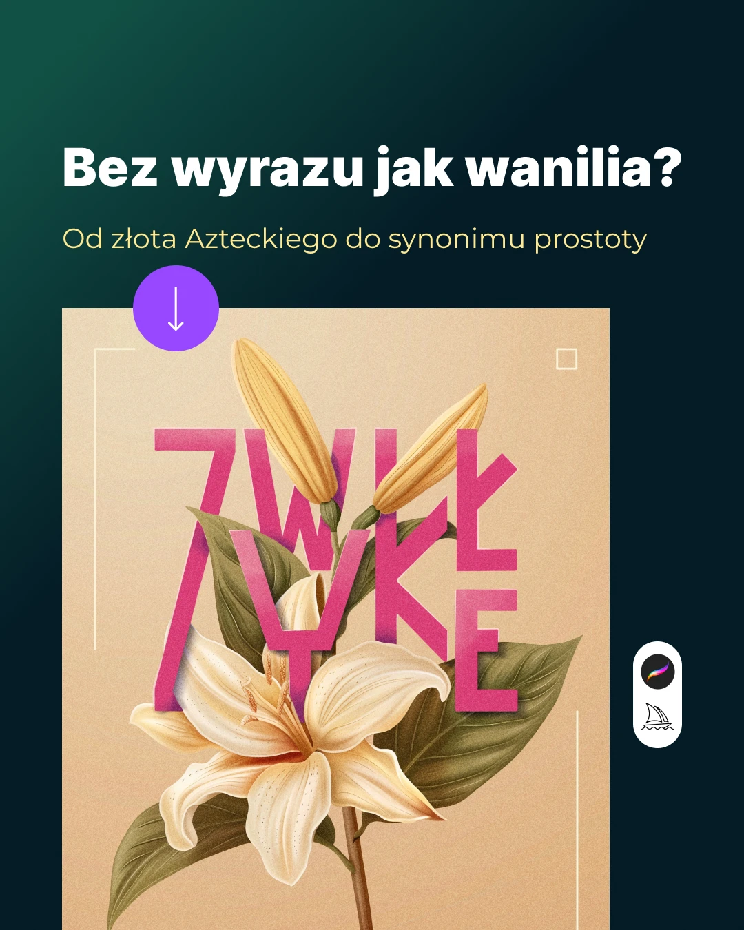 Bez wyrazu jak wanilia?