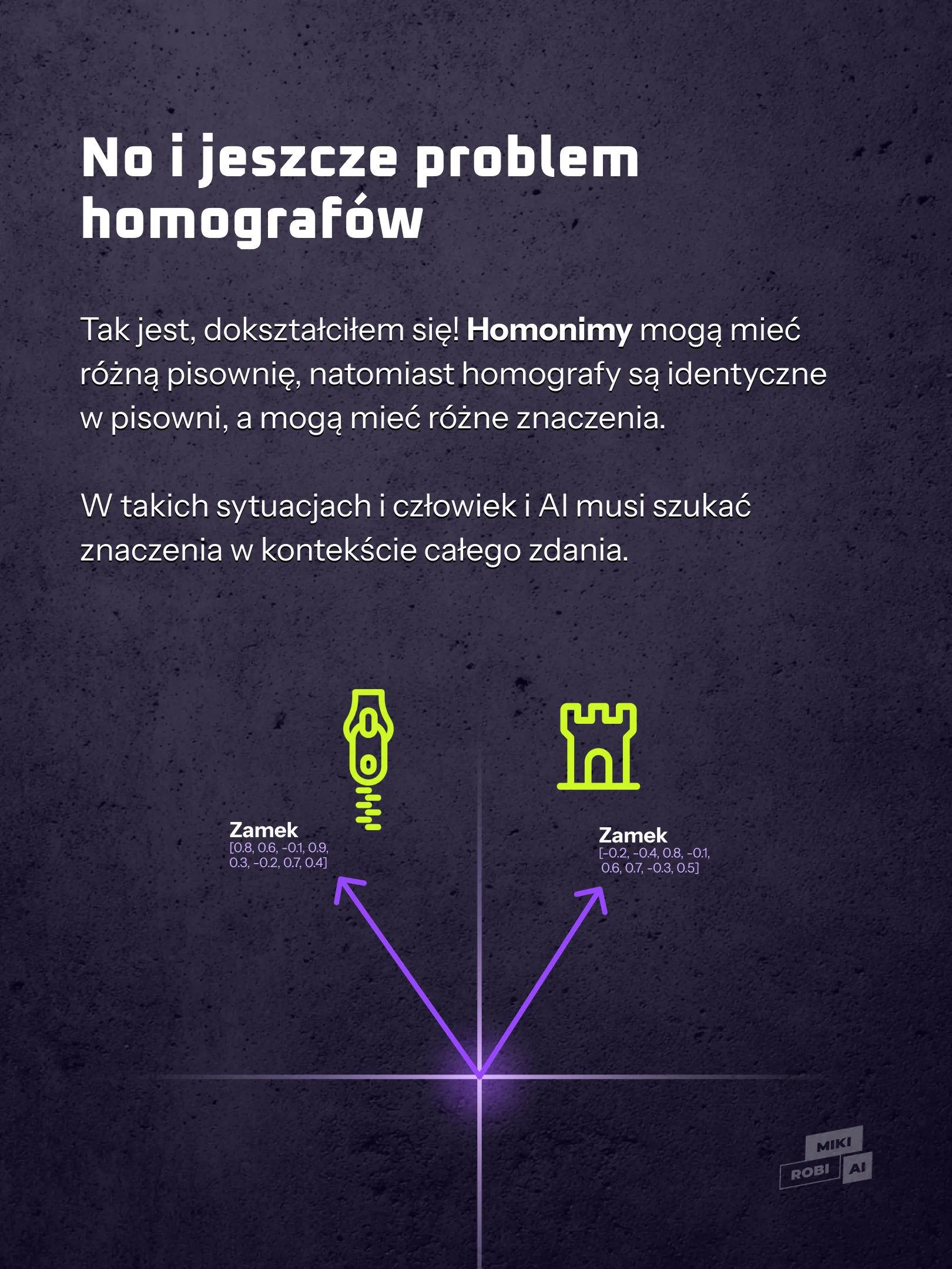 Homografy w AI