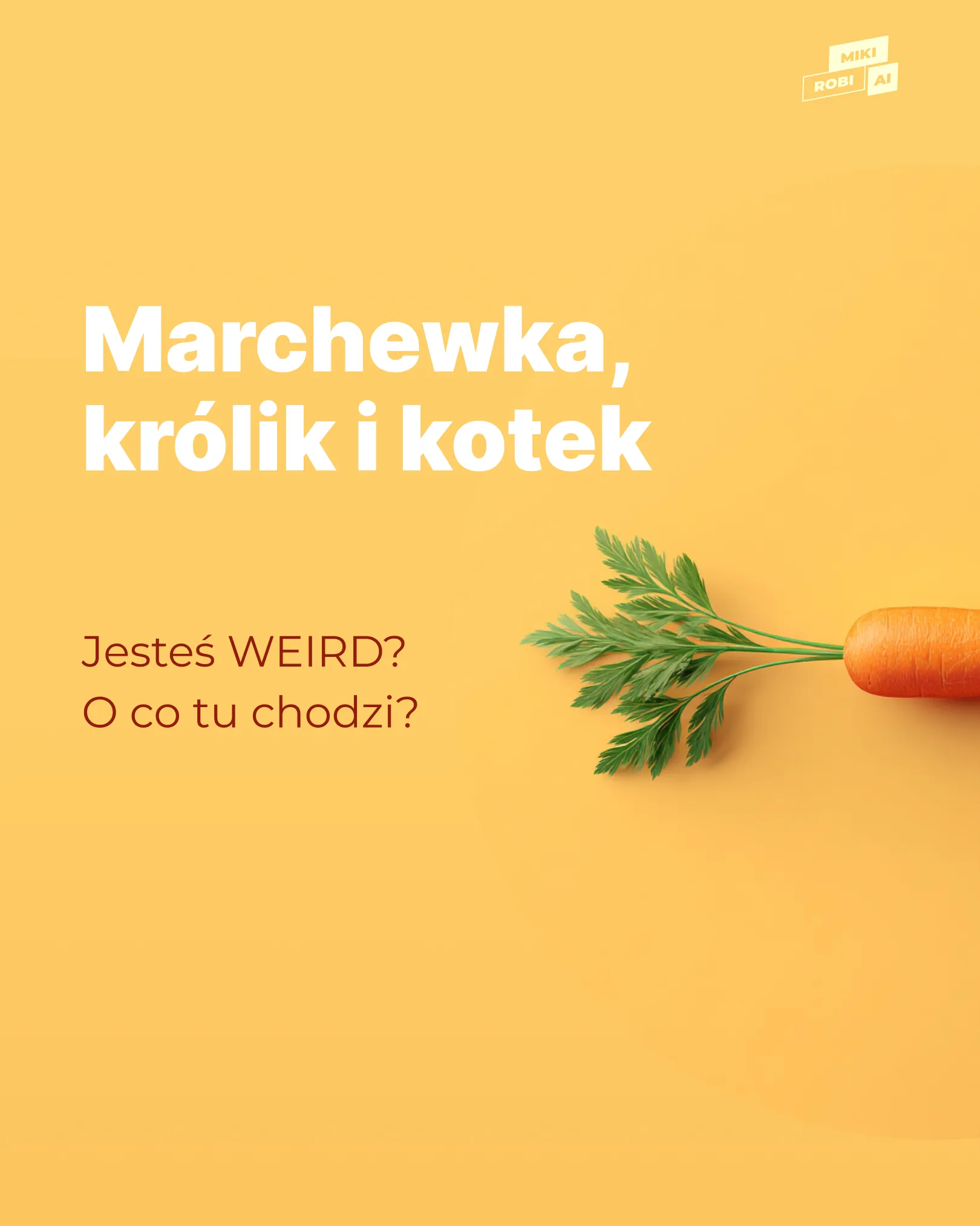 Marchewka, królik i kotek