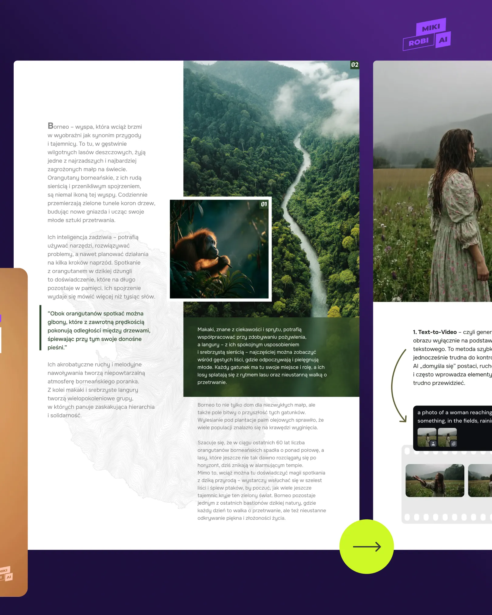 Profesjonalny design magazynu online dla polskich designerów