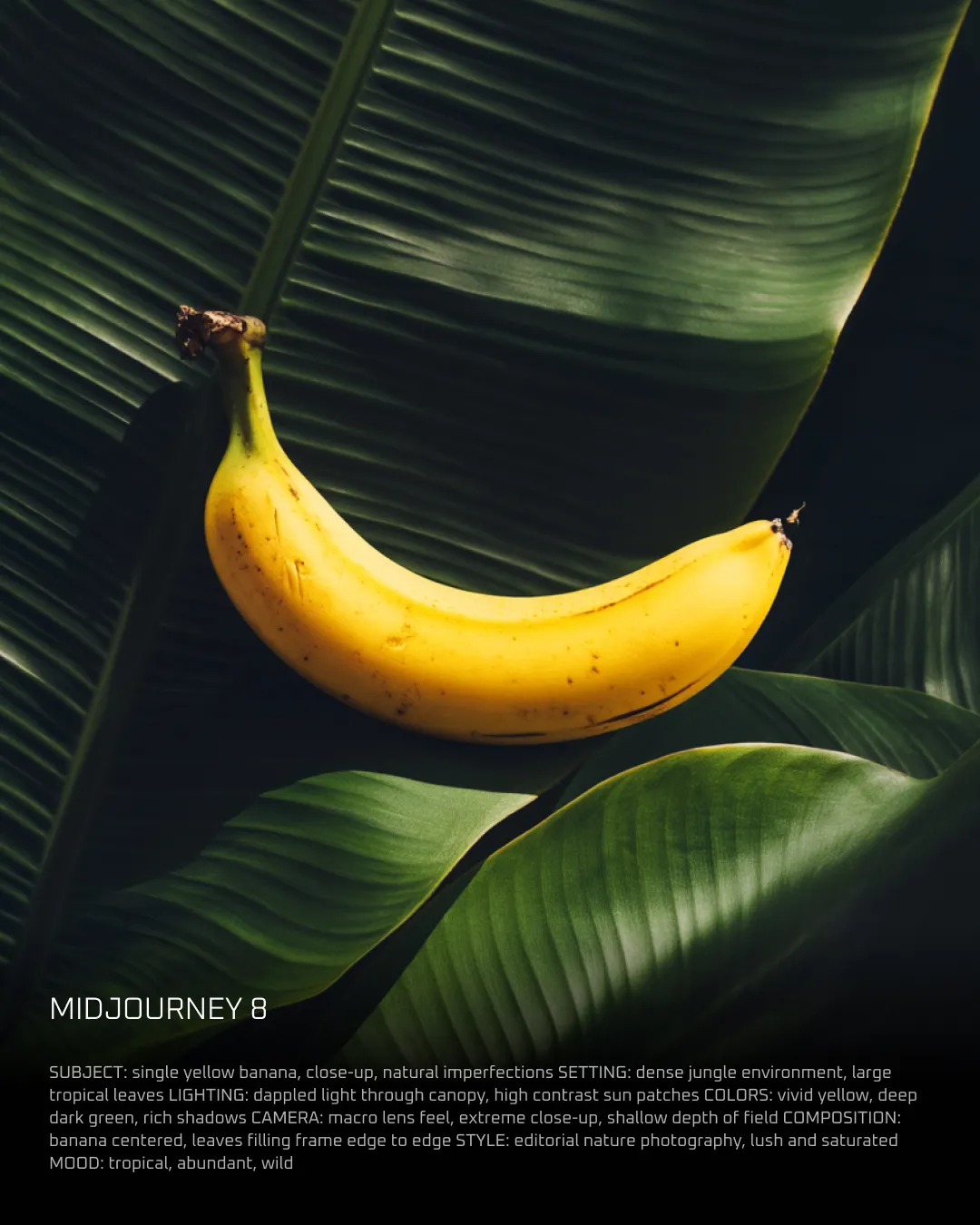 Obraz z Midjourney 8