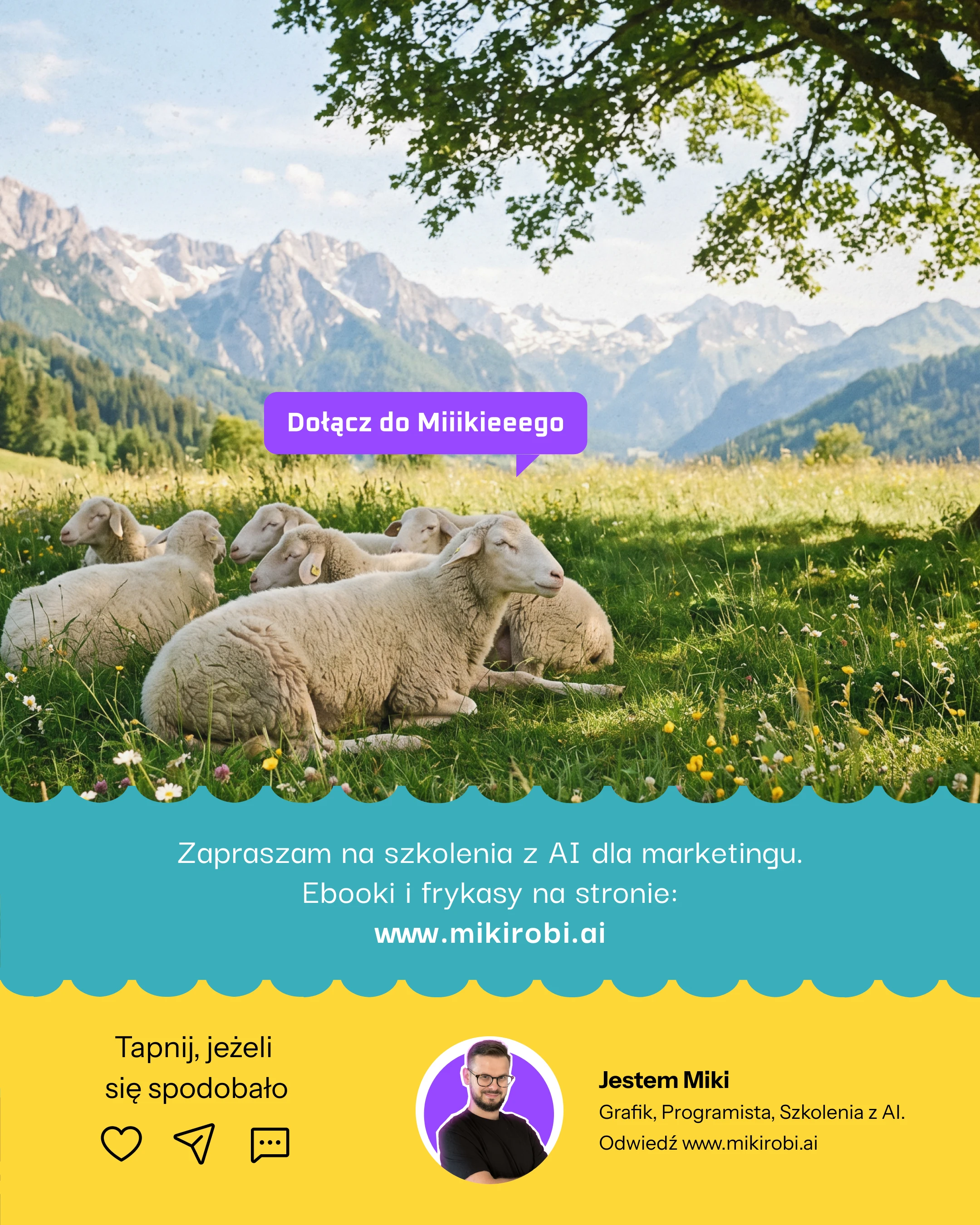Stado owiec pasące się na alpejskiej łące z górami w tle