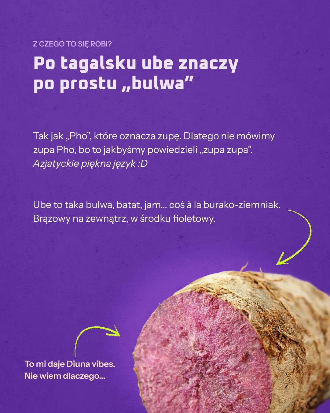 Buraka na fioletowym tle z opisem właściwości i zastosowania w kuchni